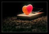 che But still missing you